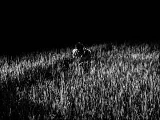 Alex Majoli, Scene #2233, Inde, 2015.