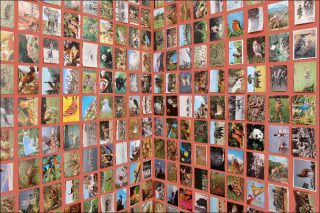 Oriol Vilanova, Trois chambres, 2019.