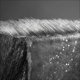 Josepha Gasch-Muche, 30/12/07 Black (detail), 2007