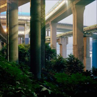 Tim Franco, Série Métamorpolis, 2011-2015.