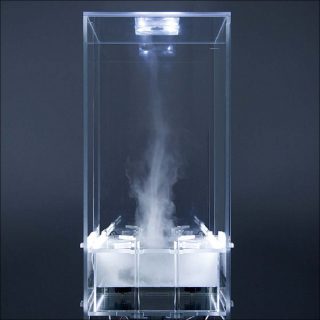 Hugo Deverchère, Delusion, 2016.