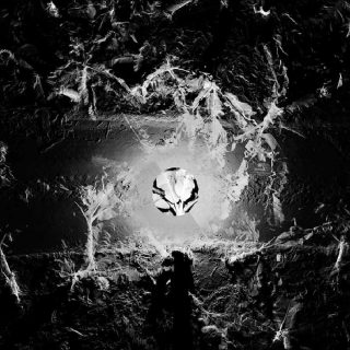 Mathilde Lavenne, Tropics, 2018.