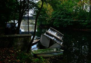 Régis Feugère, série Adventices, 2018 - 2019.