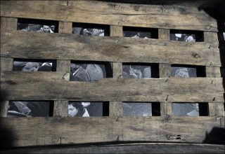 Philippe Domergue, A mi-chemin (détail), 2018-2019.