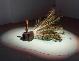 Romuald Jandolo, Fais la Roue. La défense passive, 2018.