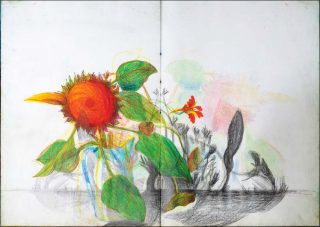 Miriam Cahn, Sans titre (Carnet à dessins), 2013.