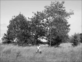 Nolwenn Brod, Père et fils, 2015.