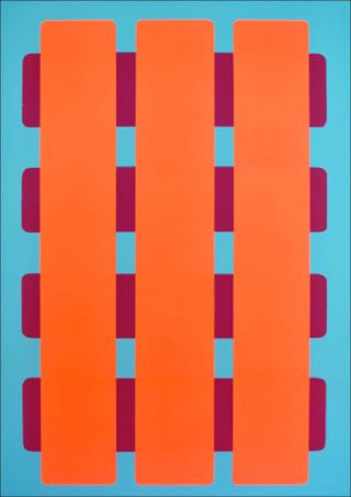 Valentina Canseco, Matrice 12, Série cagette, 2018.