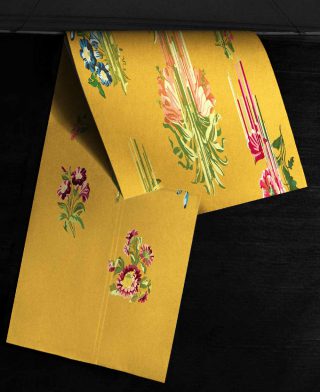 Anaïs Lamellière, Photographie spirite - Fantasma, 2019