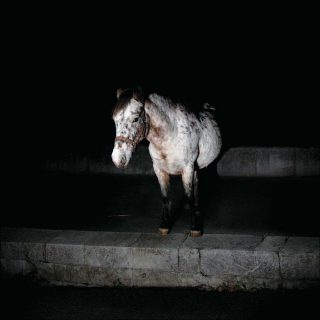 Olivier Metzger, Poney, 2009.