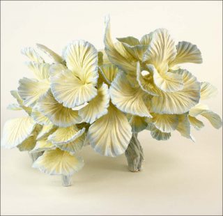 Teemu Salonen, Chinese Restaurant 7, 2019