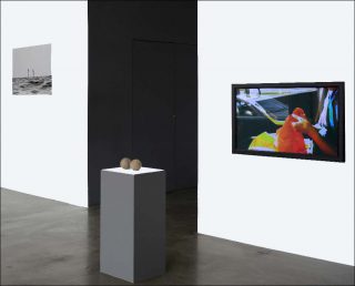 Anca Benera & Arnold Estefan, house pARTy, Decebal Scriba, Vue de l'exposition What Ties Us Together, La BF15, 2019.