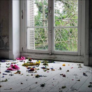 Delphine Bertrand, Le chercheur d'or, 2018.