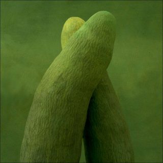 Christine Mathieu, Série Racines vertes, 2014.