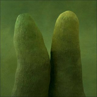 Christine Mathieu, Série Racines vertes, 2014.