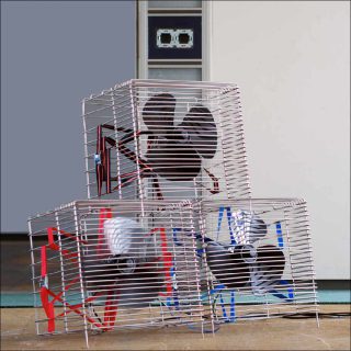 Julien Carretero, This is a Fan (Ceci est un ventilateur), 2008