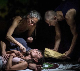 Ina Christel Johannessen (Cie zero visibility corp.), Frozen Songs, 2017