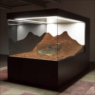 Mathieu Mercier, Sans titre (couple d’axolotls), 2012.