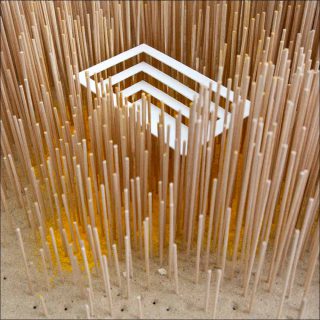 Jezy Knez, Depuis les forêts, 2018.