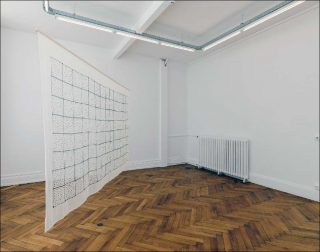 Sheroanawe Hakihiiwe, Shitikari (Cielo de estrellas), 2018.