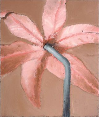 Cristof Yvoré, Sans titre, 2012.