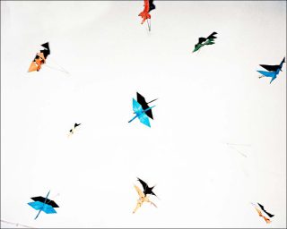 Lucas Olivet, Michal’s ceiling, 2013.