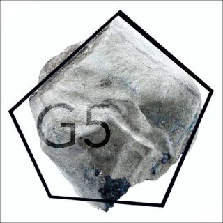 Rocio Berenguer (Cie Pulso), G5 / Coexistence, 2019