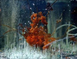 Hicham Berrada, Presage 06/01/2016 17h40, 2016.