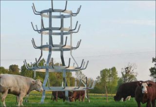 Lilian Bourgeat, Entre N. Hérisson et M. Duchamp, 2011.
