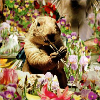 Andrea Mastrovito, The Island of Dr. Mastrovito (détail), 2012.