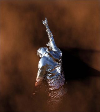 Lionel Vivier, The Great Escape, 2019.