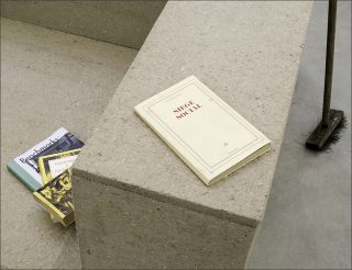 Sven ’t Jolle, Reclining figure collecting dust (siège social), 2017.