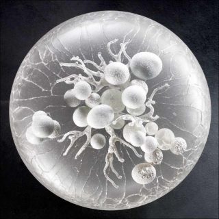 Florence Lemoine, Éclosions - Gelée