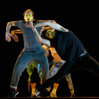 Marco da Silva Ferreira (Cie Pensamento Avulso), Brother, 2017