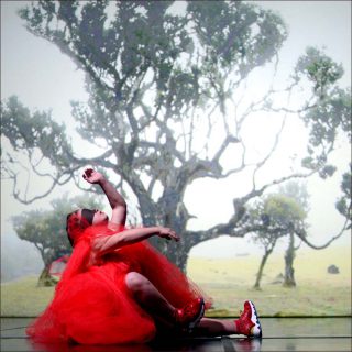 La Ribot et la Cie Dançando com a Diferença, Happy Island, 2018