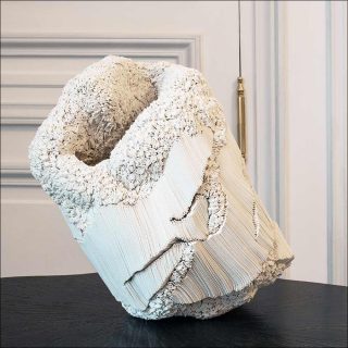 Simone Pheulpin, Hugo - série Anfractuosité