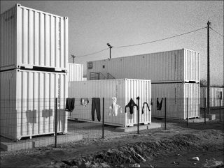 Jean Larive, Calais des oiseaux (détail), 2017.