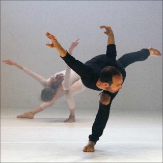 Hillel Kogan, The Swan and the Pimp, 2018