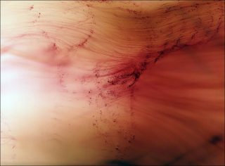 Wolfgang Tillmans, Urgency VI, 2006.