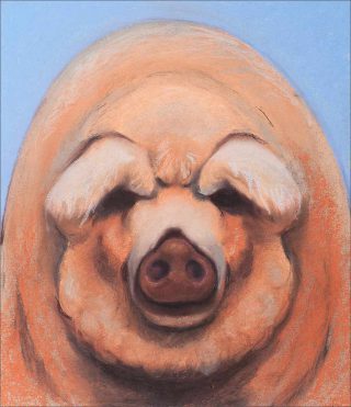 Guillaume Pinard, Sus scrofa domesticus, 2018.