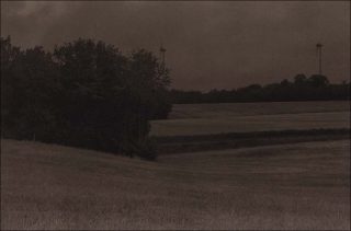 Tadzio, La France, L08, 2018/2019.