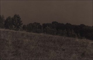 Tadzio, La France, J10, 2018/2019.