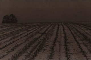 Tadzio, La France, G08, 2018/2019.