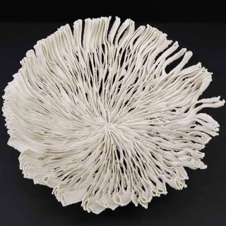 Nathalie Domingo, coupe