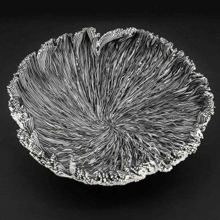 Nathalie Domingo, coupe