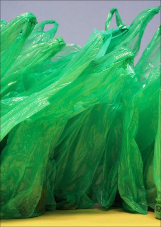 Paul Pouvreau, Variations (détail), 2015.