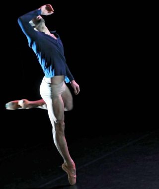 Benoîte Fanton, Danseur masqué, 2010.