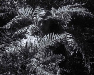 Marine Lanier, Totem, Le Soleil des Loups, 2018.
