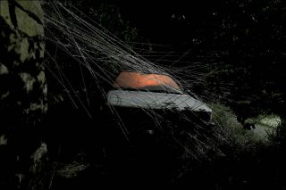 Anne Pontet, Arachné 2, 2017.