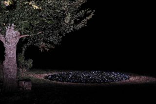 Anne Pontet, La Pamphile 1, 2016.